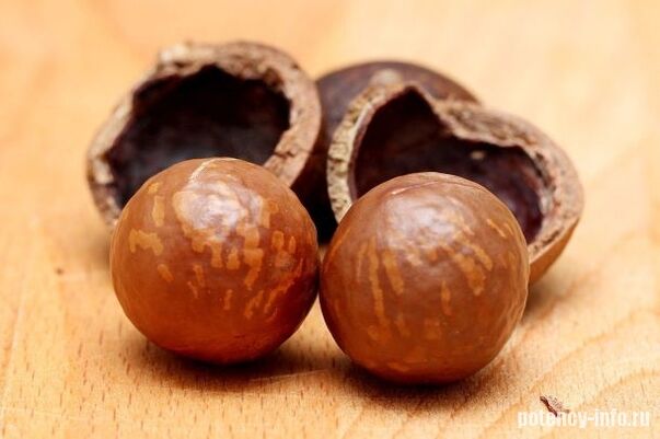 Macadamia Potens için